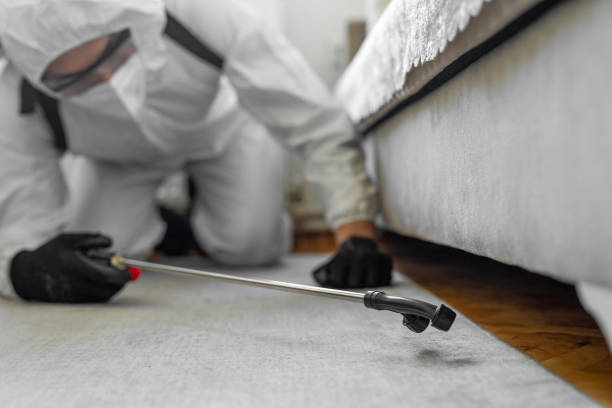 Professional Bed Bug Control technician working in Fairland, OK